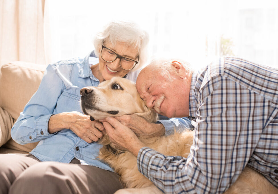 Portrait of happy senior couple cuddling with dog sitting on couch enjoying family weekend at home in retirement